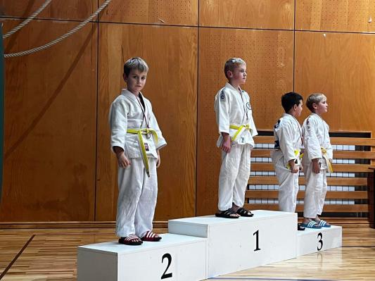 V Oplotnici je potekal 2. Vučkov judo turnir.