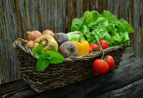10 živil, ki izboljšajo vaš imunski sistem