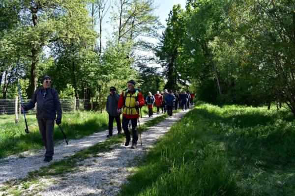 FOTO: Dan Zemlje v Krajinskem parku Goričko obeležili s pohodom
