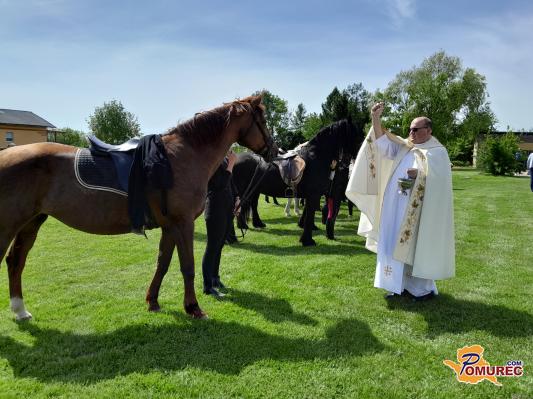 V Dobrovniku blagoslovili konje in njihove rejce 
