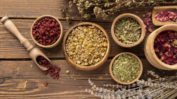 Zelišča v novembru: kaj nabrati, posušiti in shraniti pred zimo