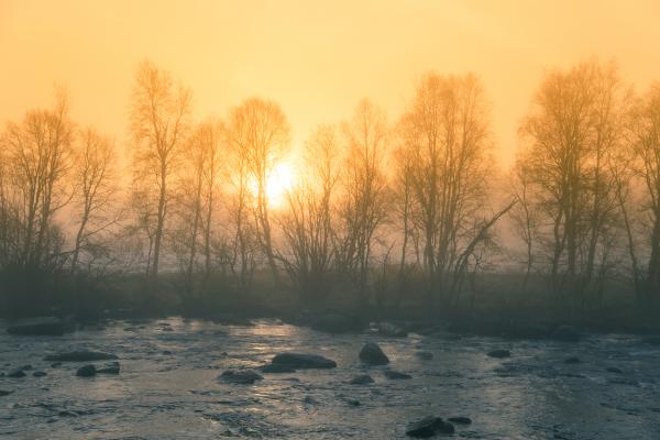 Kje bo sončno in kje megleno? Takšno bo vreme ob koncu tedna