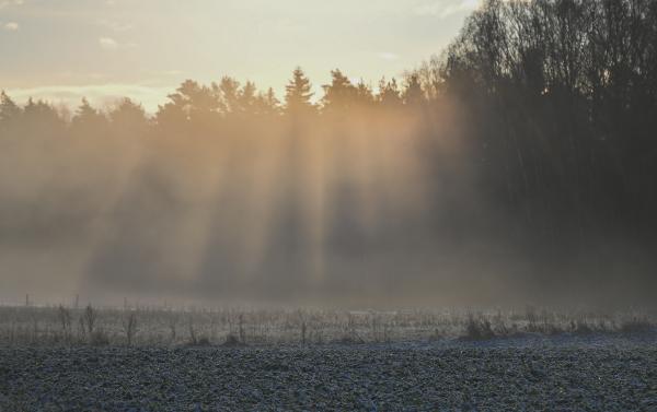 Za ta čas bo nadpovprečno toplo