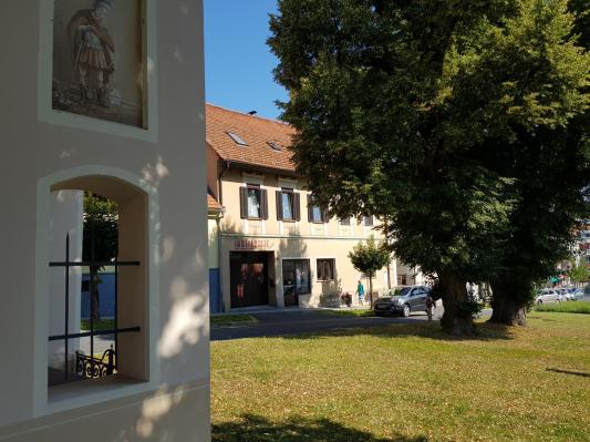 Zaradi odstranitve dreves zaprt dostop do parkirišč v mestu