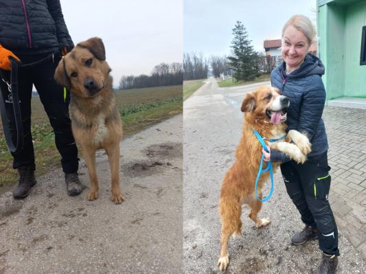 V Mali hiši nekdo tiho čaka, da mu polepšate dan