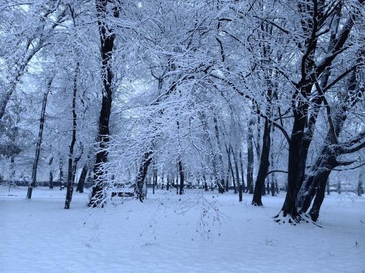 Občina Grad bo zagotovila pitno vodo na teh lokacijah