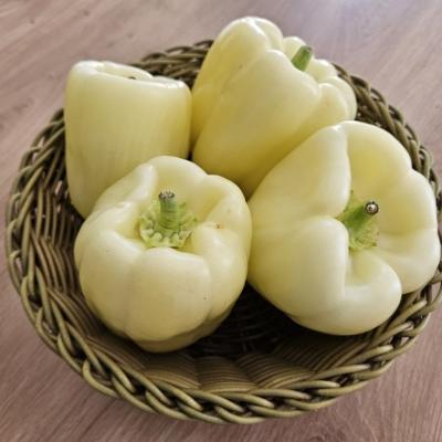 Pozor! Paprika Babura ima nenavadno pekoč okus