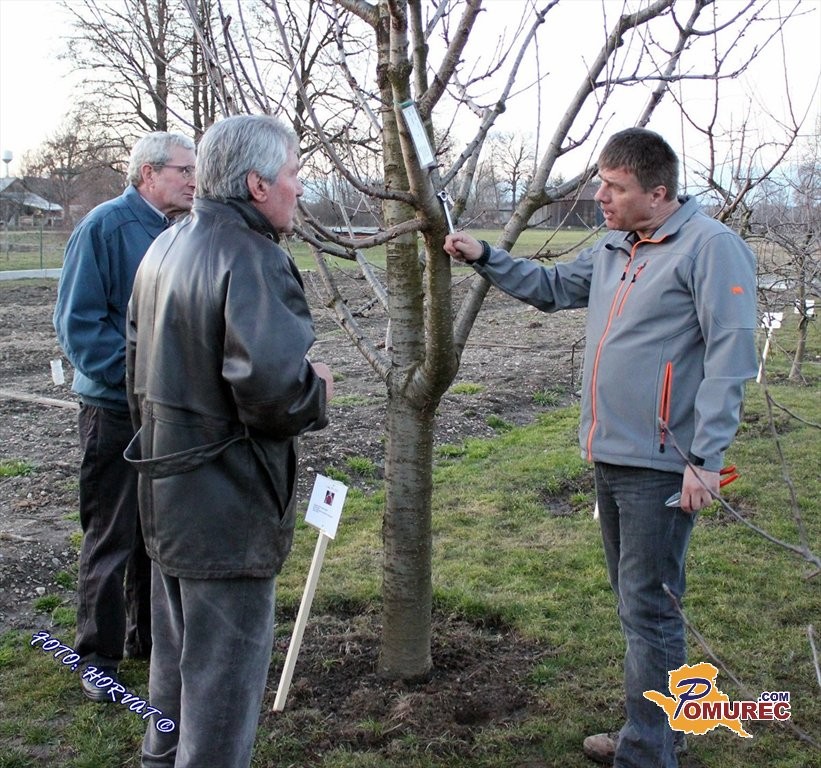 Mlade pičkice mlade pičkice