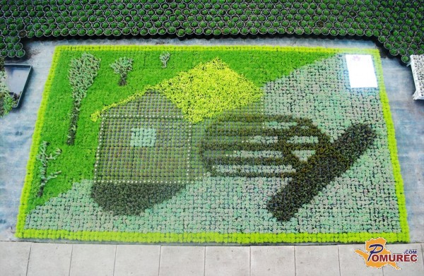 Mlin na Muri kot mozaik iz 5096 trajnic