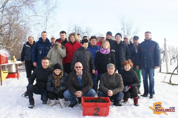 FOTO: Svečnična trgatev za suhi jagodni izbor