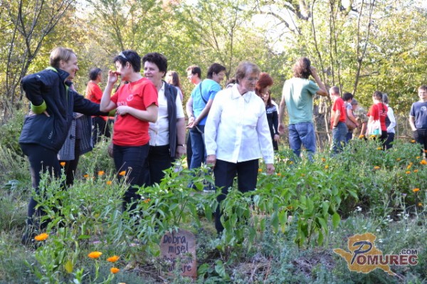 FOTO: Rouža za vsake betek v Budincih