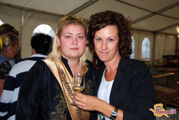 FOTO: Obilo žlahtne kapljice na Vinskem festivalu v Lendavi