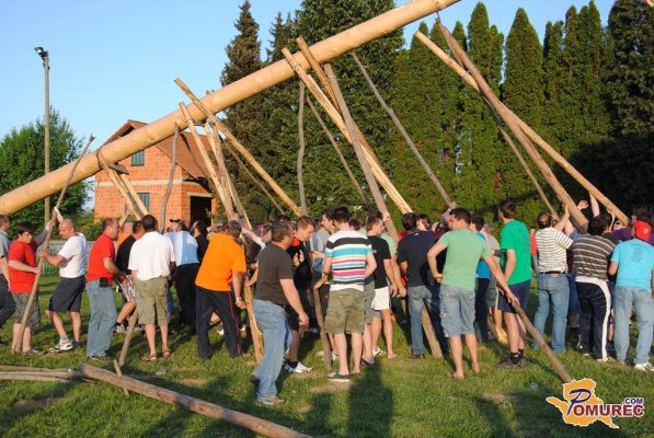 FOTO: V Gančanih nadaljevali tradicijo postavljanja majoša
