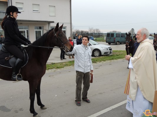 FOTO: Blagoslov konj v Križevcih