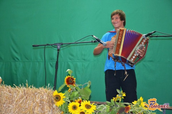 FOTO: Dan harmonikarjev na Tišini