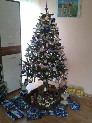 V natečaju naj okrašeno božično drevo 2012 vas je najbolj prepričala Monika Ros