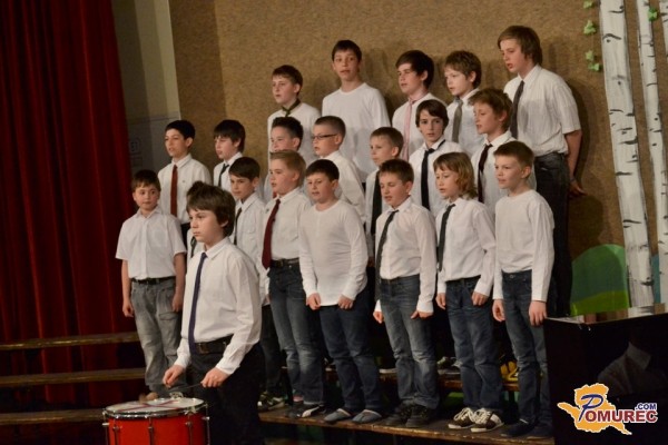 FOTO: Čriček poje v Gornji Radgoni