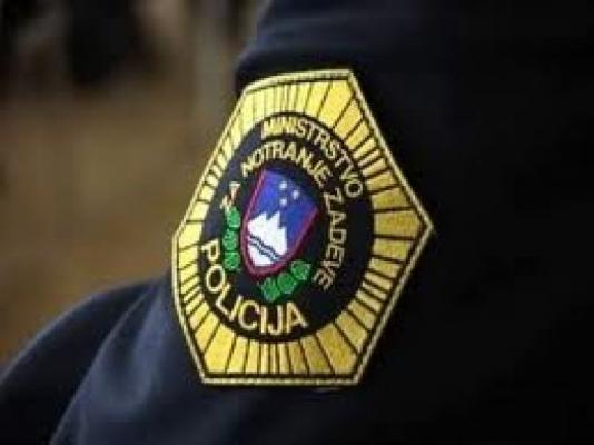 V Lendavi policisti obravnavali tatvino žaganega lesa