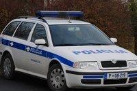 Lendavski policisti obravnavali krajo tovorne prikolice