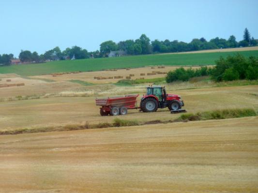 Kmetje za zemljo na Hrvaškem ne bodo dobili subvencij