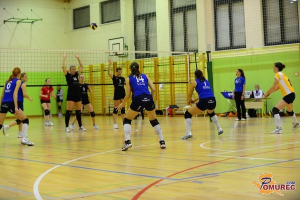 Dvoranski šport: Vse odbojkarske ekipe uspešne, rokometaši malo manj