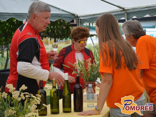 FOTO: Tradicionalni Festival vina in kulinarike v Filovcih 