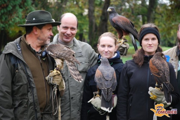 FOTO: V Beltincih pričeli že peti lov s sokoli