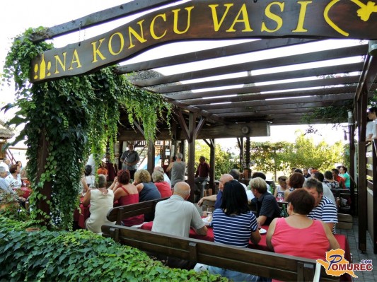 Vinski večer z dr. Viljemom Ščuko