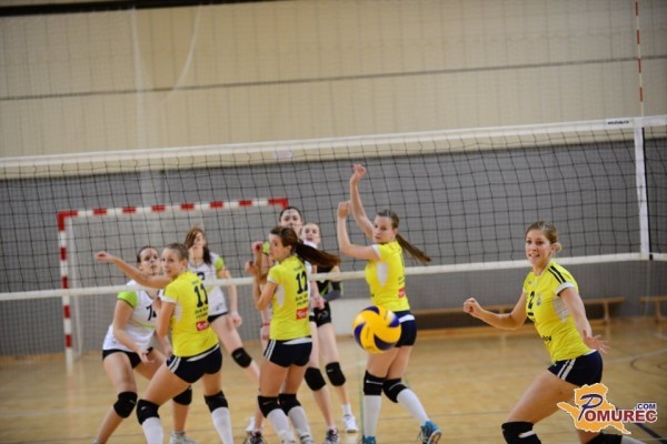 Dvoranski šport: Vse odbojkarske ekipe uspešne, zmagale še rokometašice in košarkarji