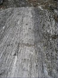 Prepadna stena in plezalke