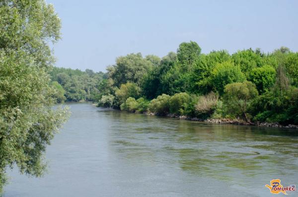 Policist rešil pogrešano osebo, ki je skočila v reko Muro