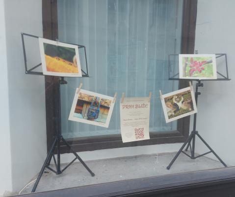 Izložbena okna krasijo ljubiteljske fotografije