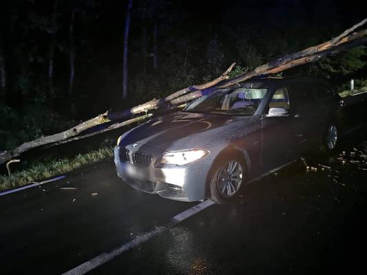 FOTO: Drevo padlo na osebni avtomobil 
