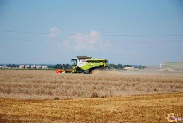 Poplava ukrajinskega žita znižuje cene, kmetje nezadovoljni