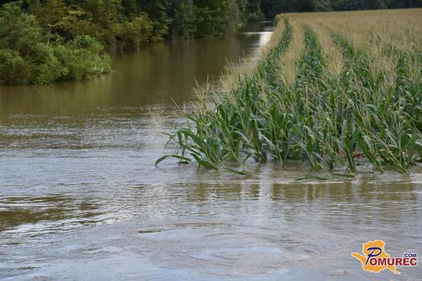 Irena Šinko: Poplave v kmetijstvu povzročile za 145 milijonov evrov škode