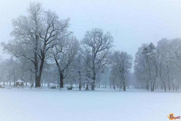 Jutri sneg do nižin, vremenoslovci izdali opozorilo