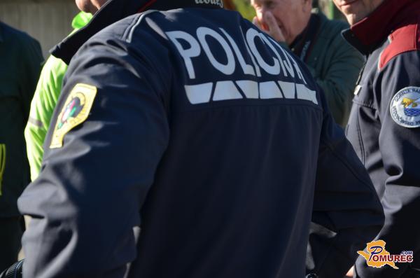 Sum ponarejanja denarja, goljufija in tatvina goriva