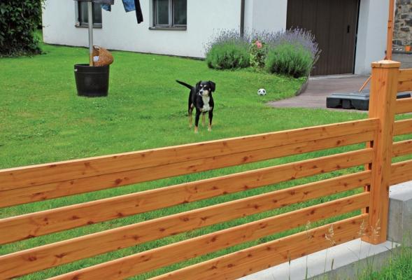 Zakaj so aluminijaste ograje popolne za hišne ljubljenčke?