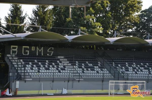 Po štirih letih v Grčiji se vrača v Fazanerijo