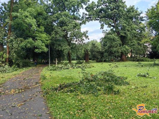 Zaradi močnega vetra in odpadajočih vej je gibanje na območju parka omejeno