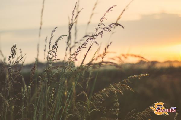 Opozorilo! Zelo vetrovno bo