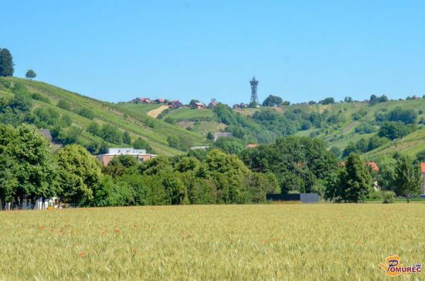 Lendavski kmetje želijo obdelovati zemljišča sklada kmetijskih zemljišč
