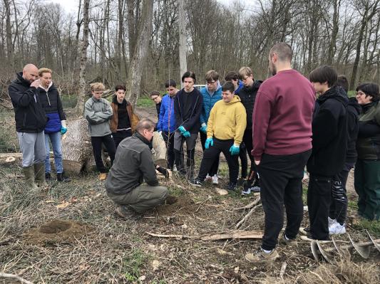 Radenska prispevala k obnovi slovenskih gozdov