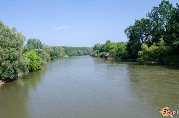 Ohranjajmo celovitost življenja na Zemlji