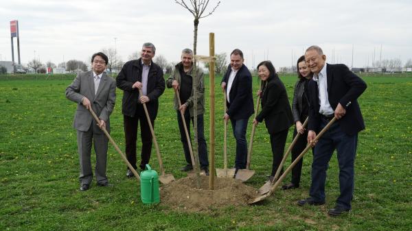 FOTO: V drevoredu japonskih češenj zasadili dodatno drevo