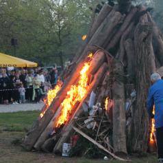 FOTO: V Moravskih Toplicah postavili mlaj, kresovanje združili s festivalom okusov 