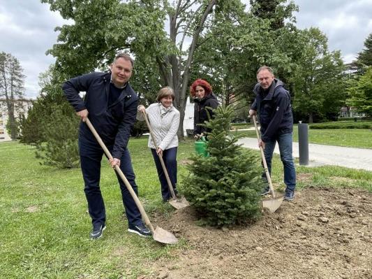 Župan v Murski Soboti posadil mladi drevesi 