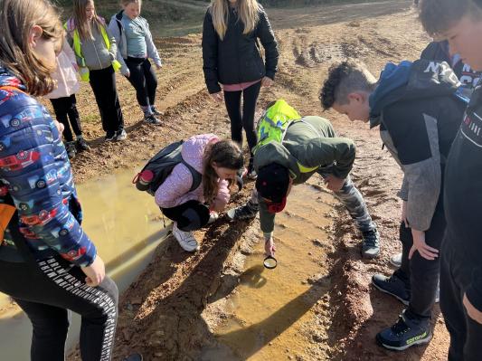 FOTO: Dan Zemlje preživeli v družbi dvoživk