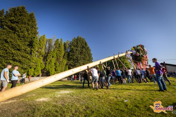 FOTO in VIDEO: V Gančanih postavili 105. majoš