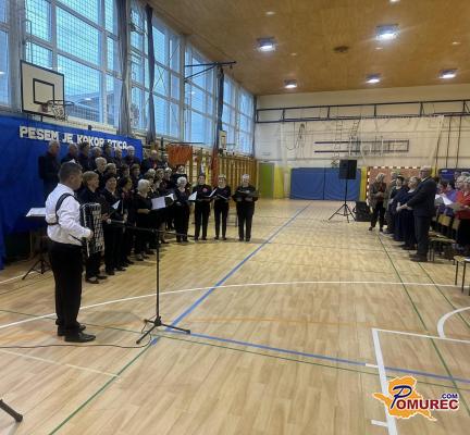 Na reviji upokojenskih pevskih zborov nastopilo enajst pevskih zborov 